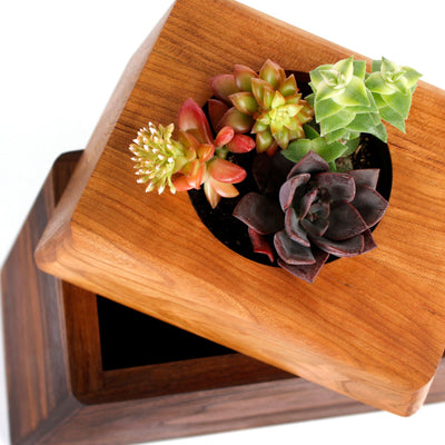 The Living Urn Planter - Greenhaven