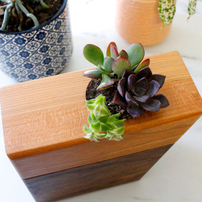 The Living Urn Planter™ Keepsake